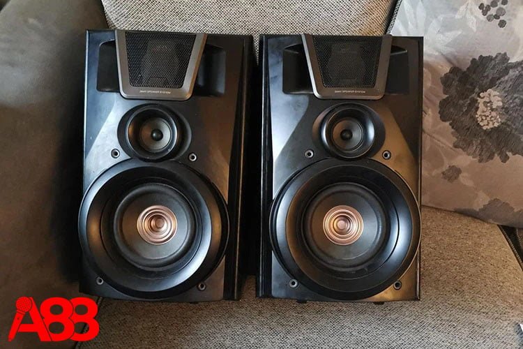 loa 3 đường tiếng là gì