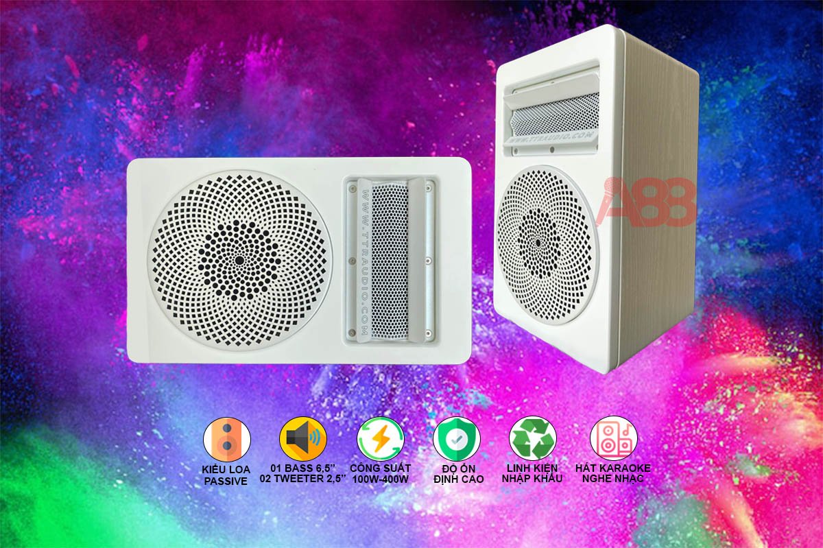 dàn karaoke gia đình ttr 001