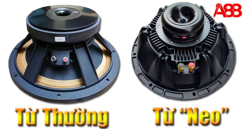 Sự khác nhau giữa loa từ thường và loa từ Neo