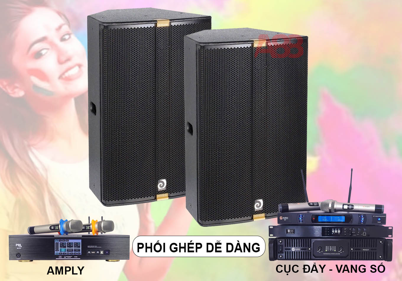 loa karaoke de pd 12