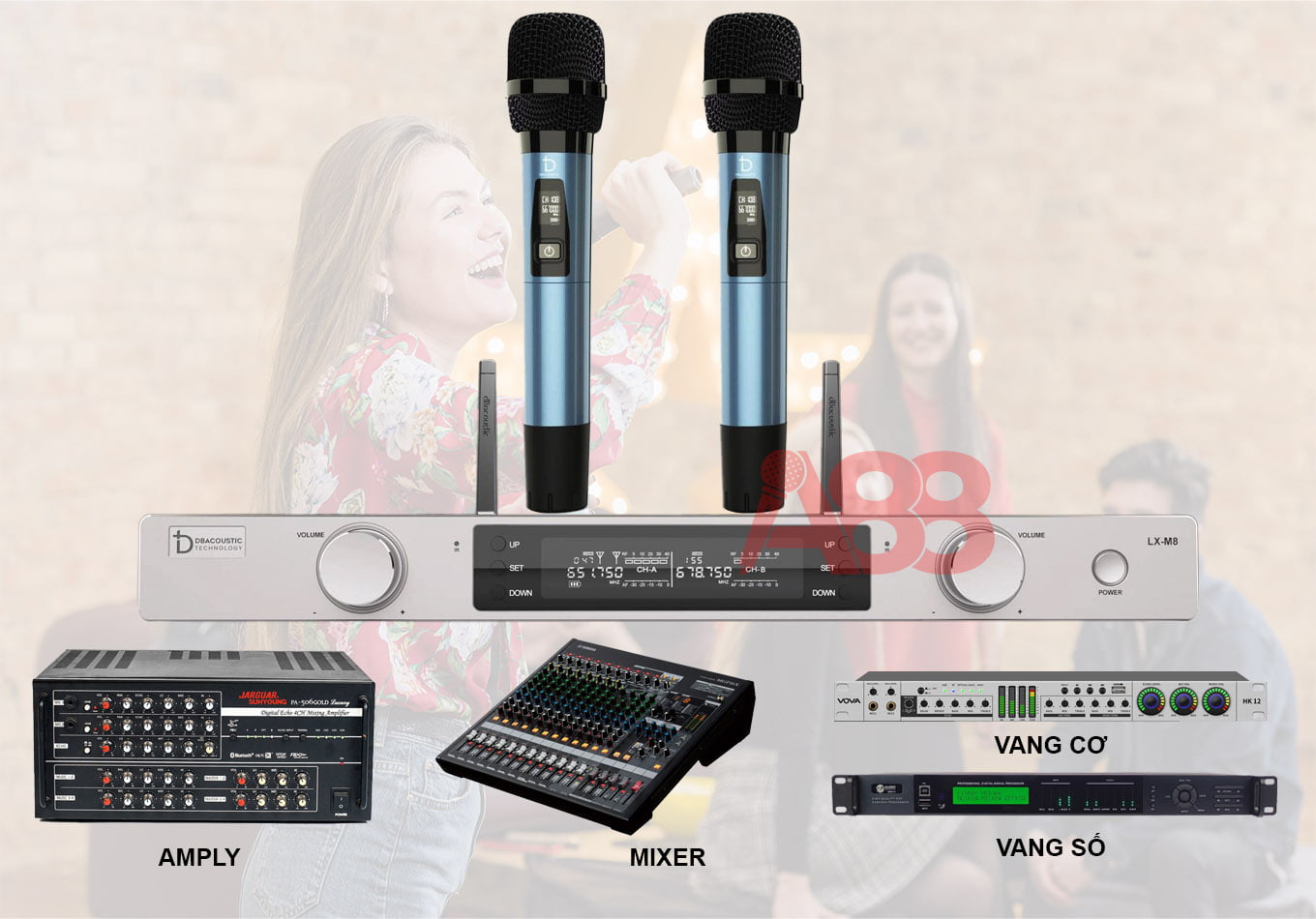 Micro không dây DBacoustic LX M8 Micro không dây DBacoustic LX M8