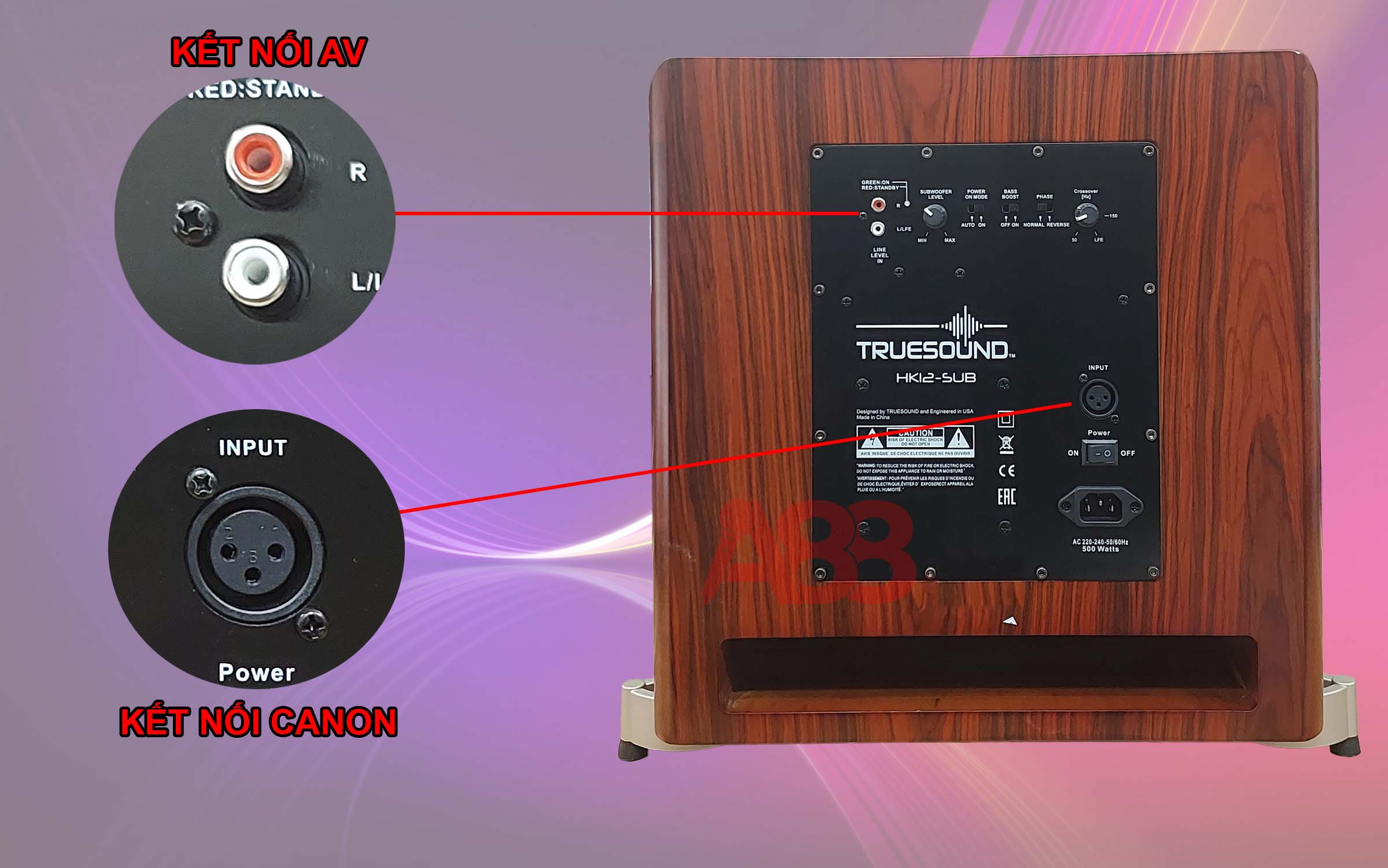 Loa sub điện TrueSound HK 12