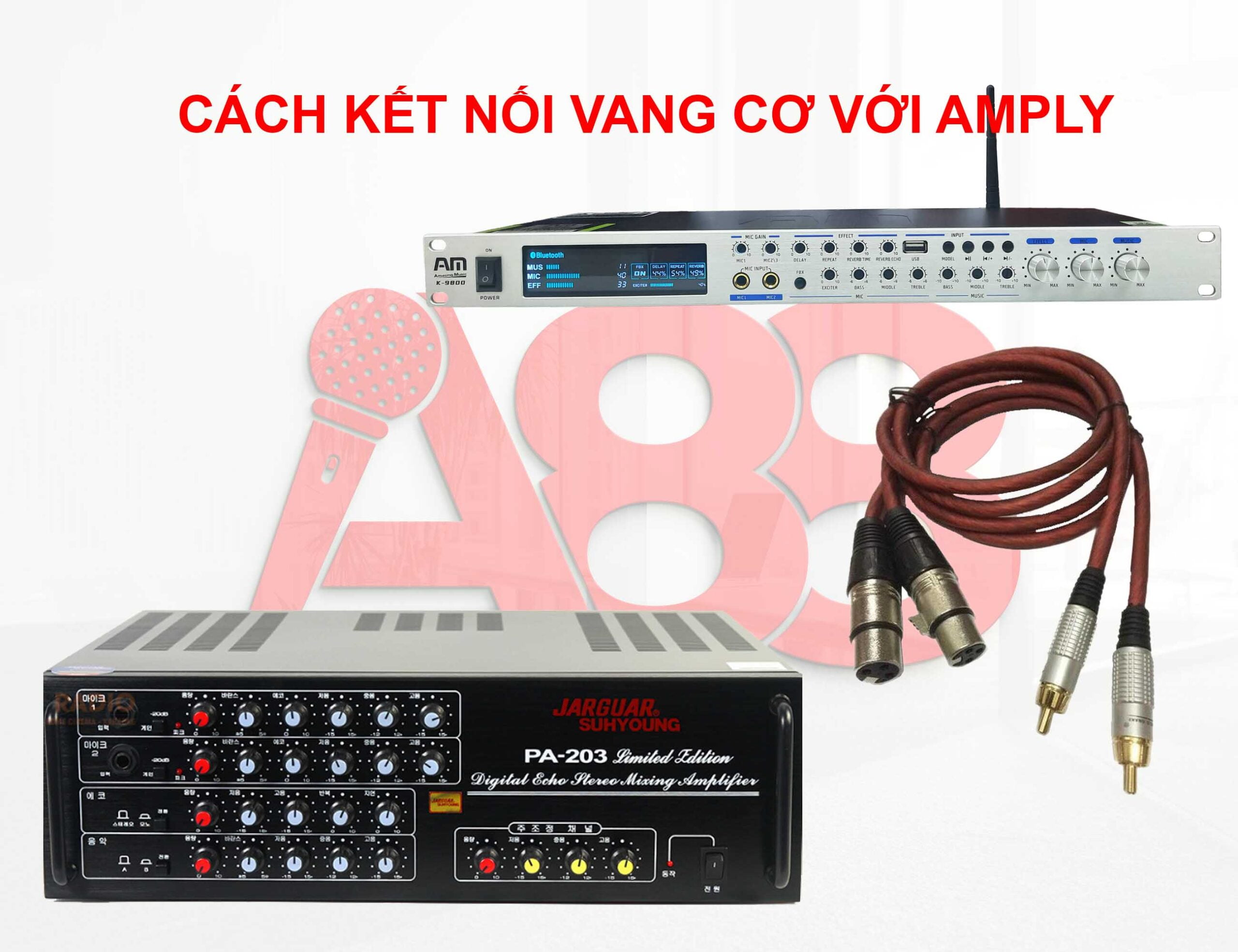 cách kết nối vang cơ với amply cách kết nối vang cơ với amply