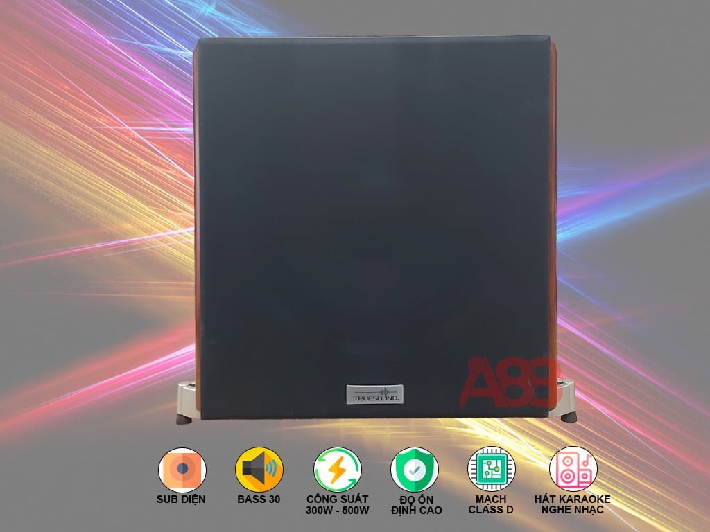Loa sub điện TrueSound HK 12