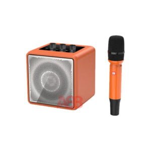 Loa xách tay di động BBS P4 (1 Bass 4in)