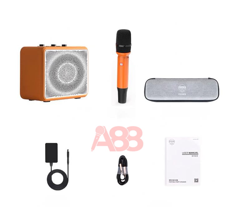 Loa xách tay di động BBS P4