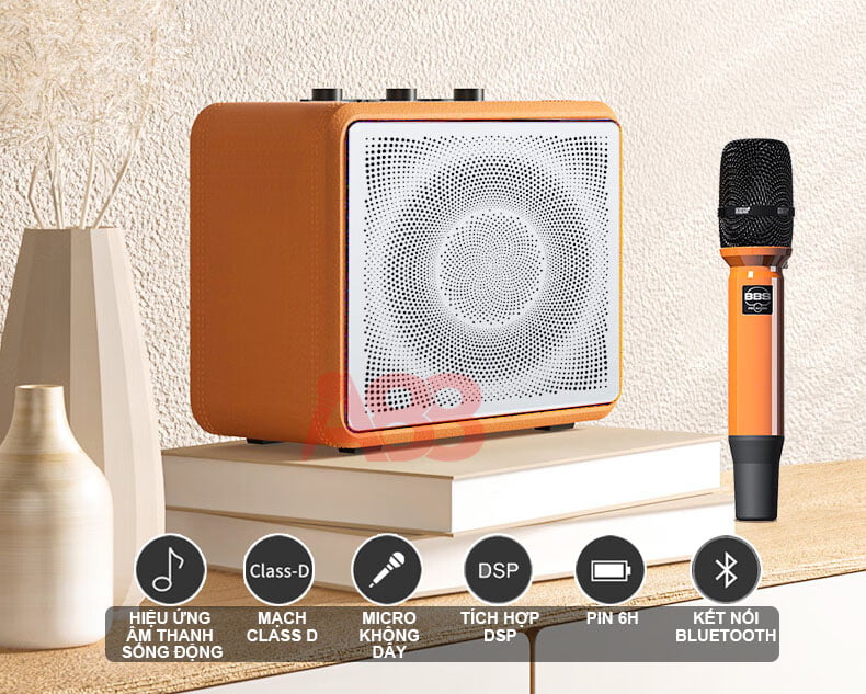 Loa xách tay di động BBS P4