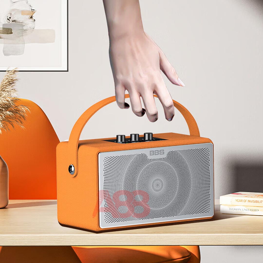 Loa xách tay di động BBS P5 Loa xách tay di động BBS P5
