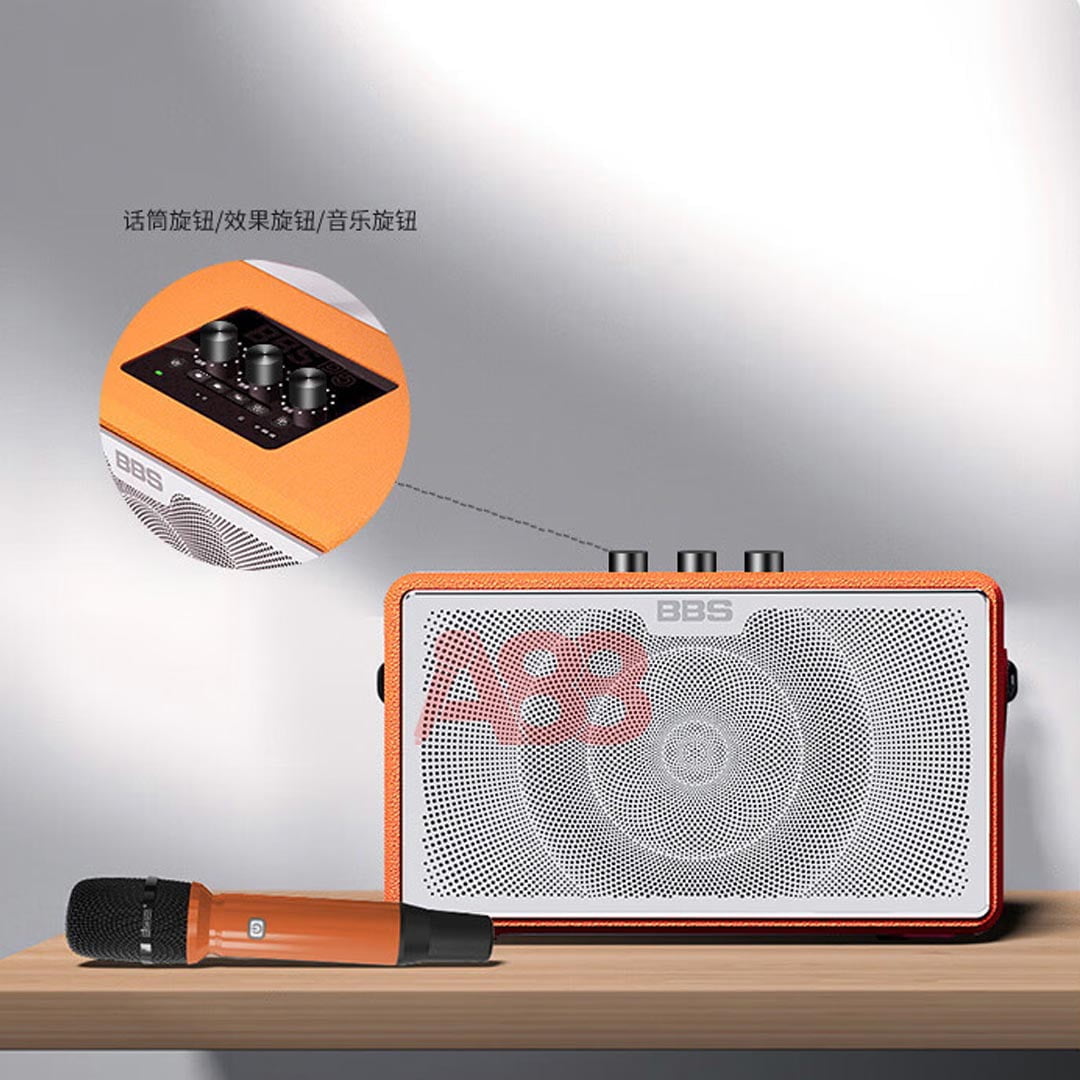 Loa xách tay di động BBS P5 Loa xách tay di động BBS P5