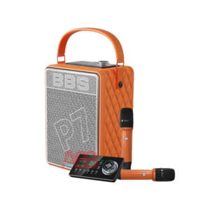 Loa xách tay di động BBS P7 (60W)