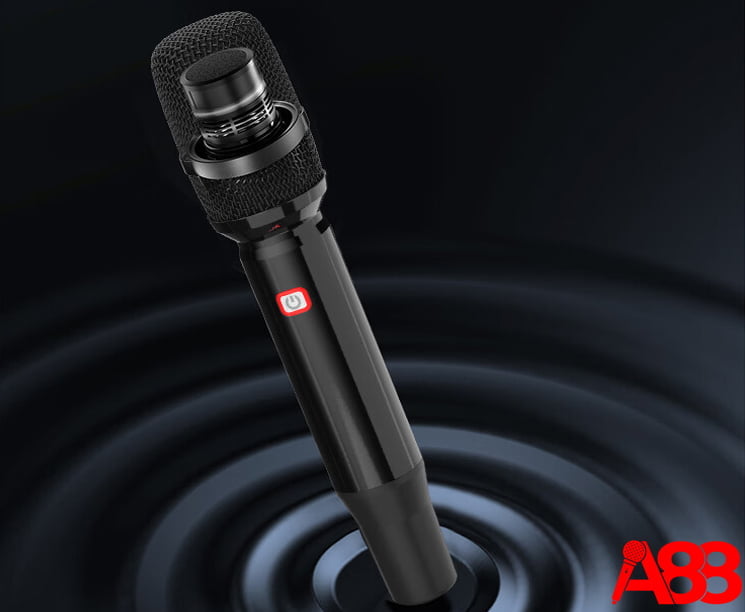 Loa xách tay di động BBS P7