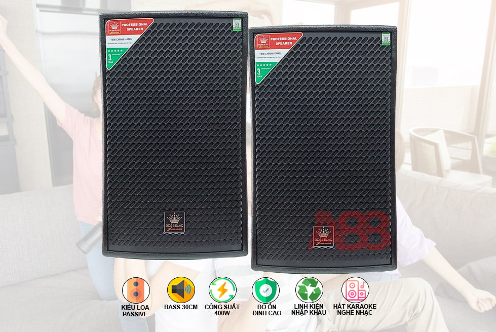 Một bộ dàn karaoke gia đình cơ bản cần có những thiết bị nào? Loa karaoke bosselac HD 112