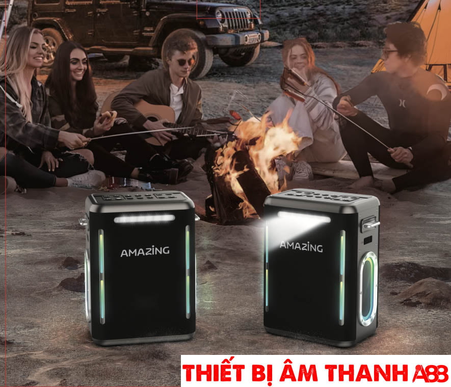 Loa xách tay VietK Amazing V300